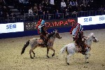 Quadrille - 00339